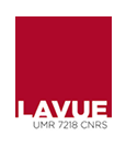 Logo Lavue